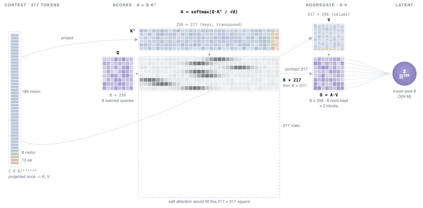 The v0.1 encoder architecture